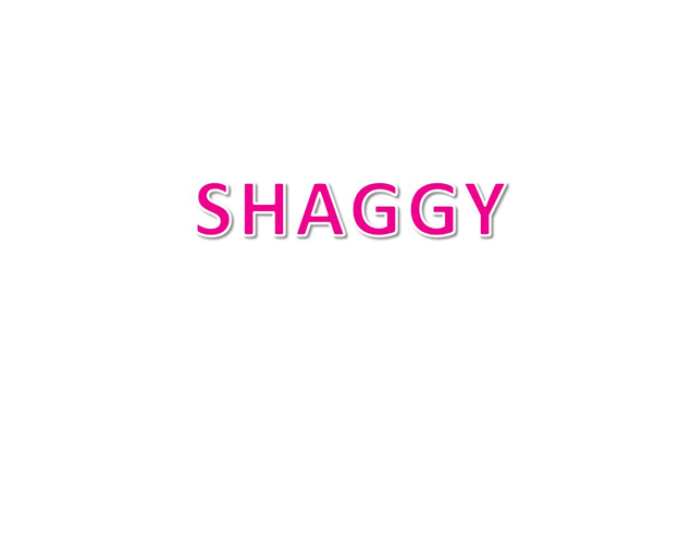 SHAGGY
