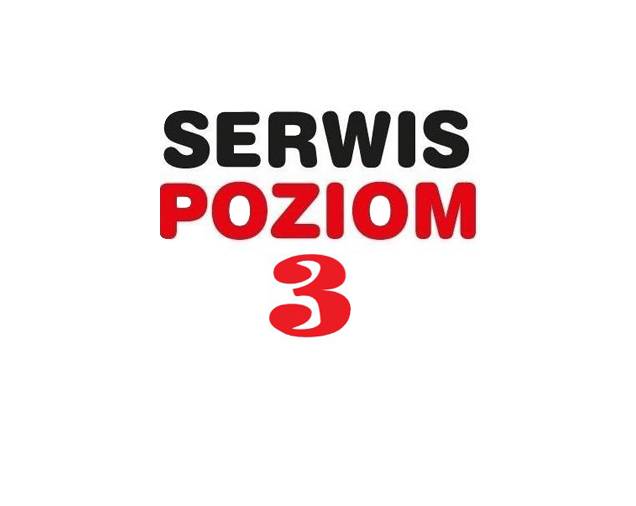 SERWIS POZIOM 3