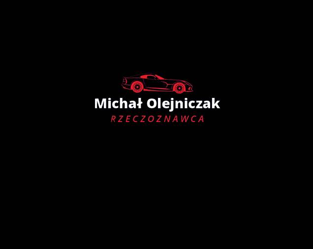Rzeczoznawca Michał Olejniczak