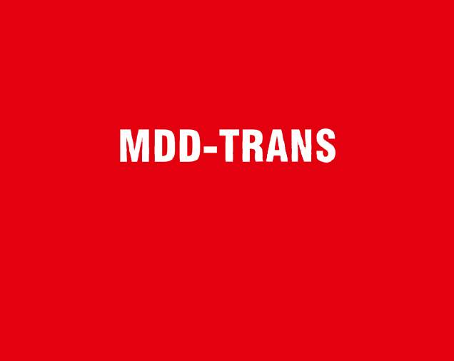 MDD-TRANS Mateusz Drewienkowski