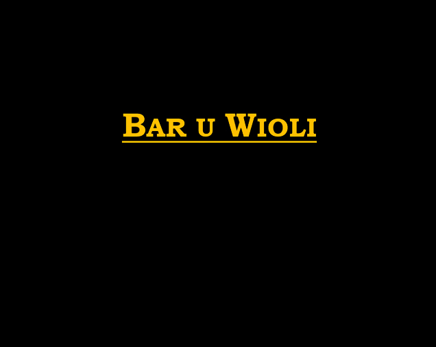 Bar u Wioli