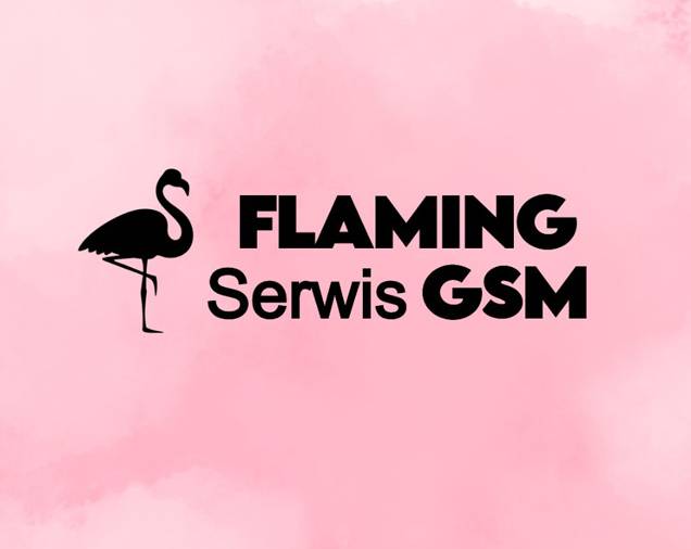 FLAMING Serwis GSM