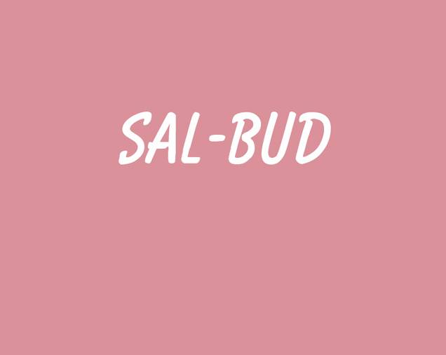 SAL-BUD