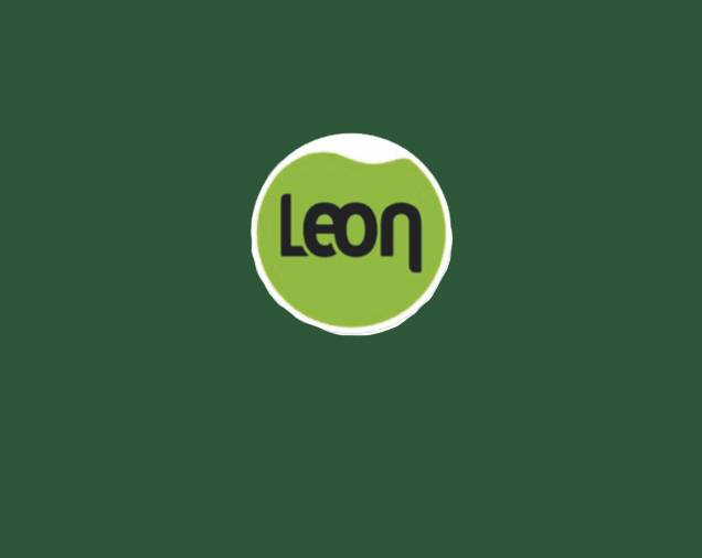 Hurtownia Kosmetyczno-Chemiczna LEON