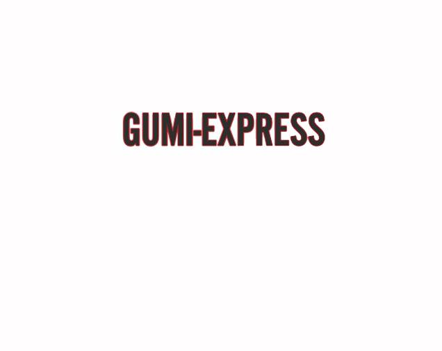 GUMI-EXPRESS Sławomir Jakubowski