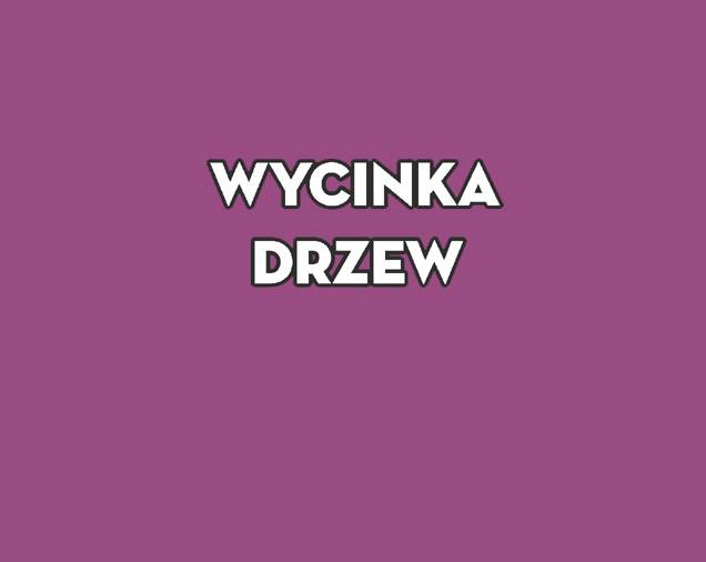 Wycinka Drzew Paweł Przekop