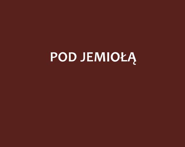 Bar Pod Jemiołą