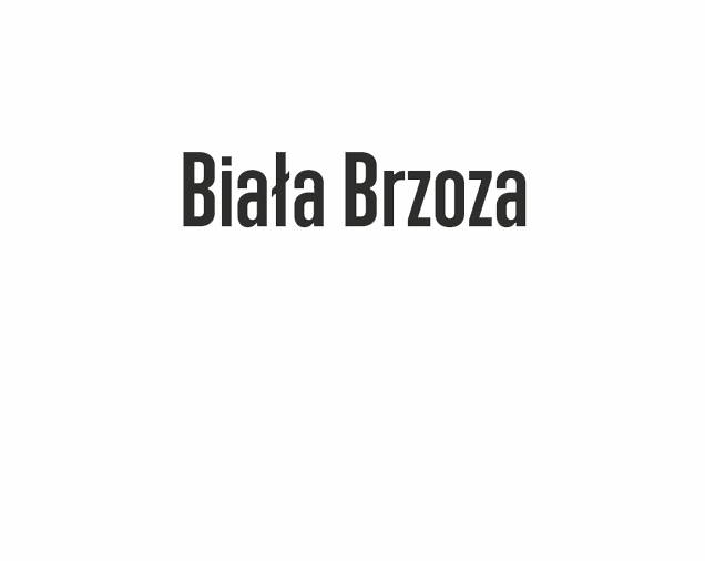 Biała Brzoza Dom Weselny