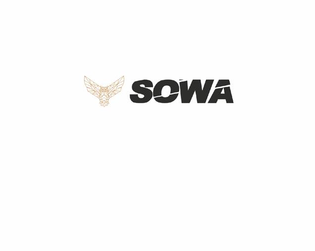 SOWA Auto Spa & Auto Serwis